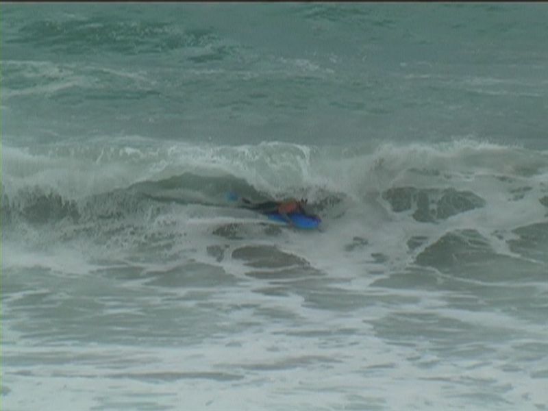 aquatiques (18)