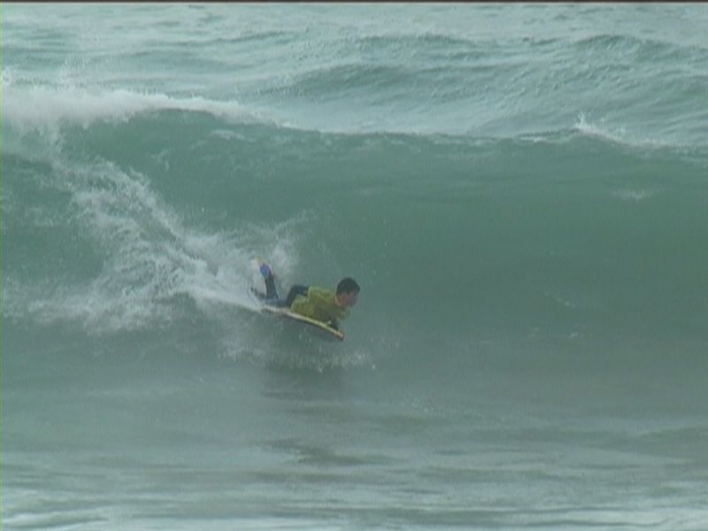 aquatiques (20)