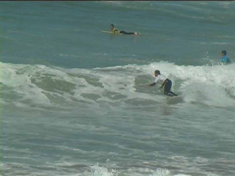 aquatiques (24)