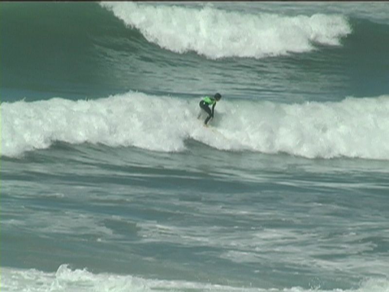aquatiques (25)