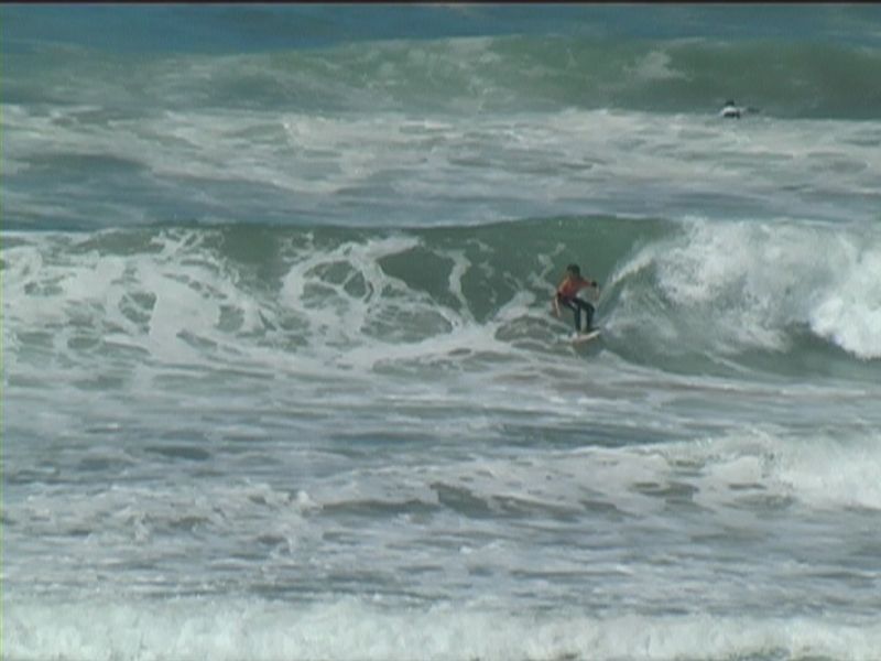 aquatiques (26)