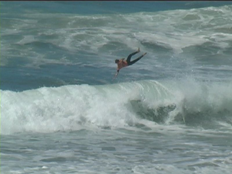 aquatiques (27)