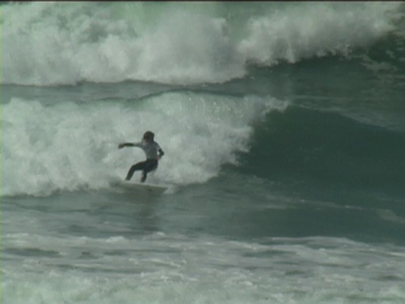 aquatiques (28)