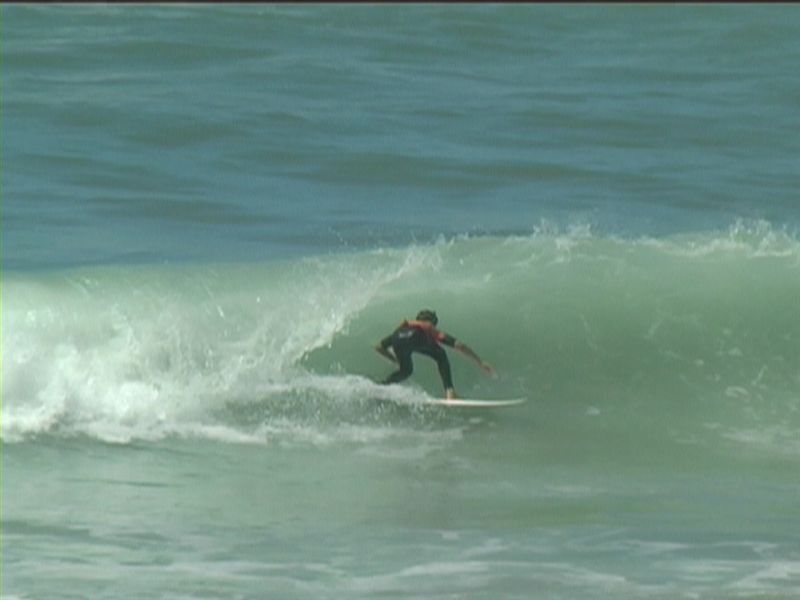 aquatiques (29)