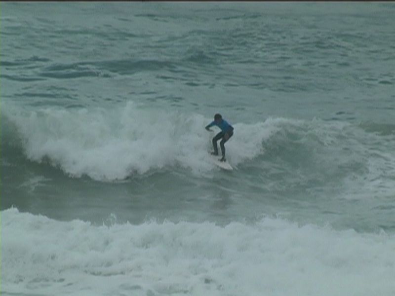 aquatiques (3)