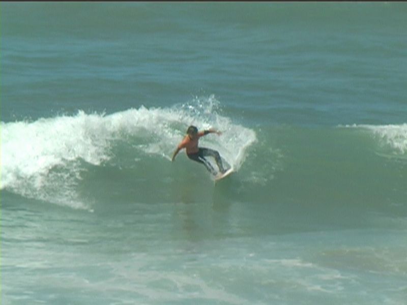 aquatiques (30)