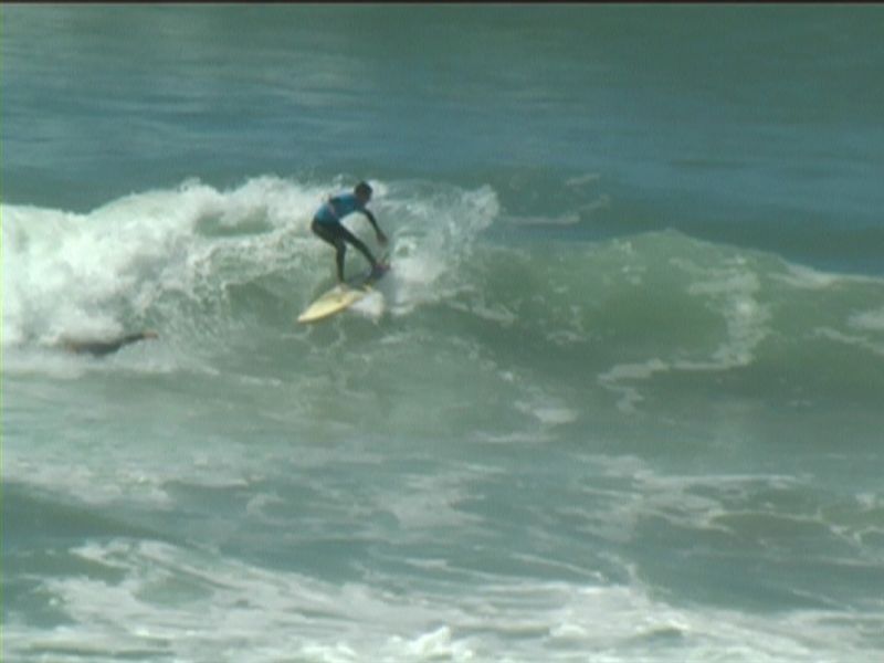 aquatiques (31)