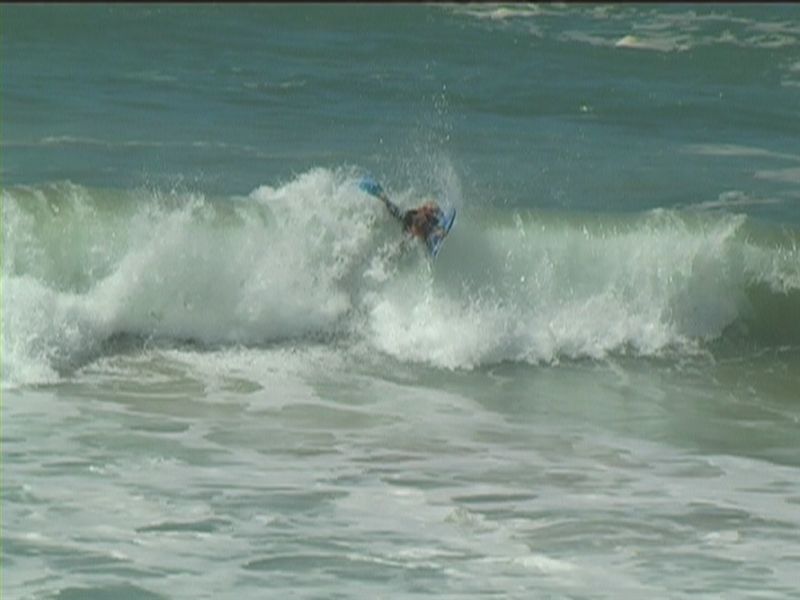aquatiques (32)