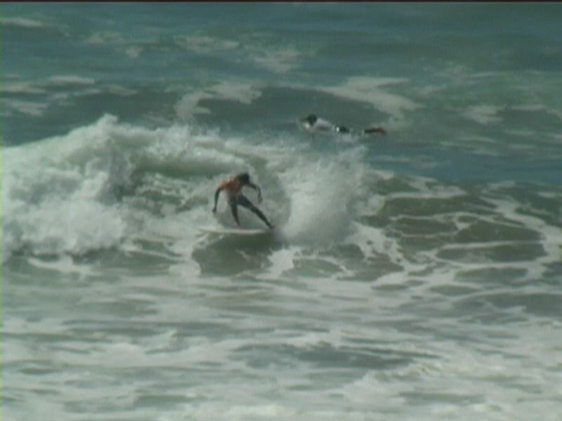 aquatiques (33)