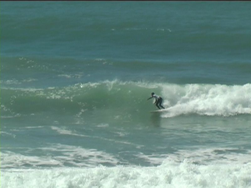 aquatiques (34)