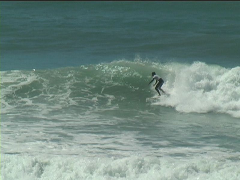 aquatiques (36)