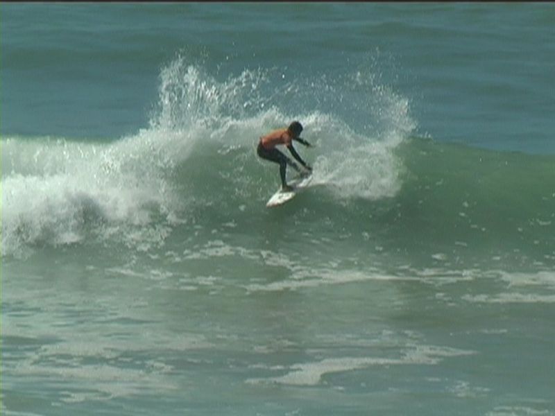 aquatiques (37)