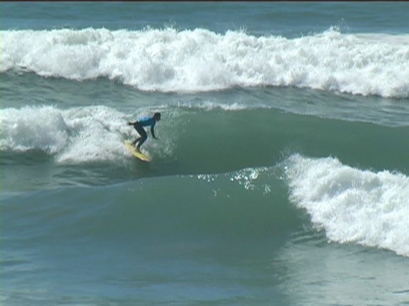 aquatiques (38)