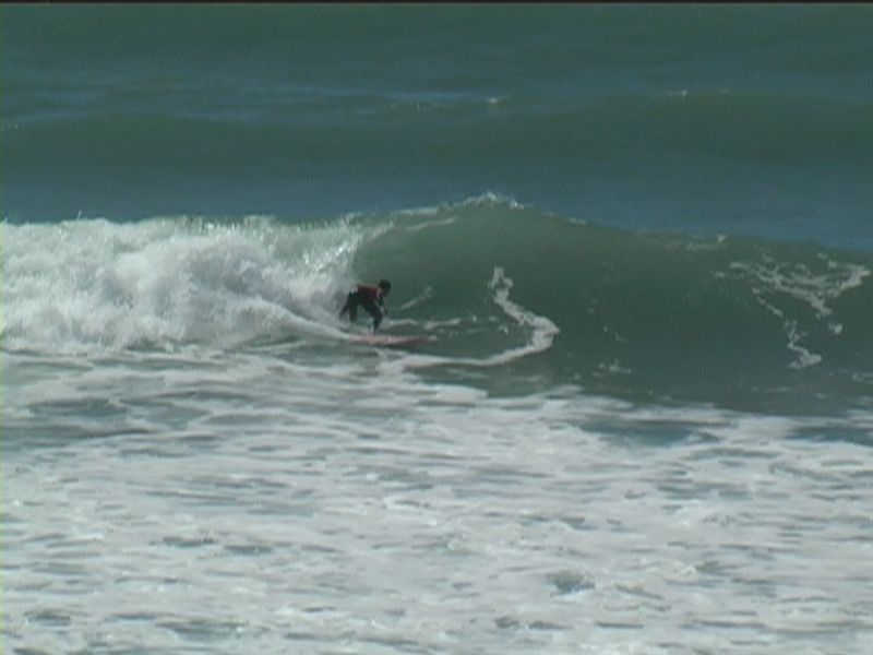 aquatiques (39)