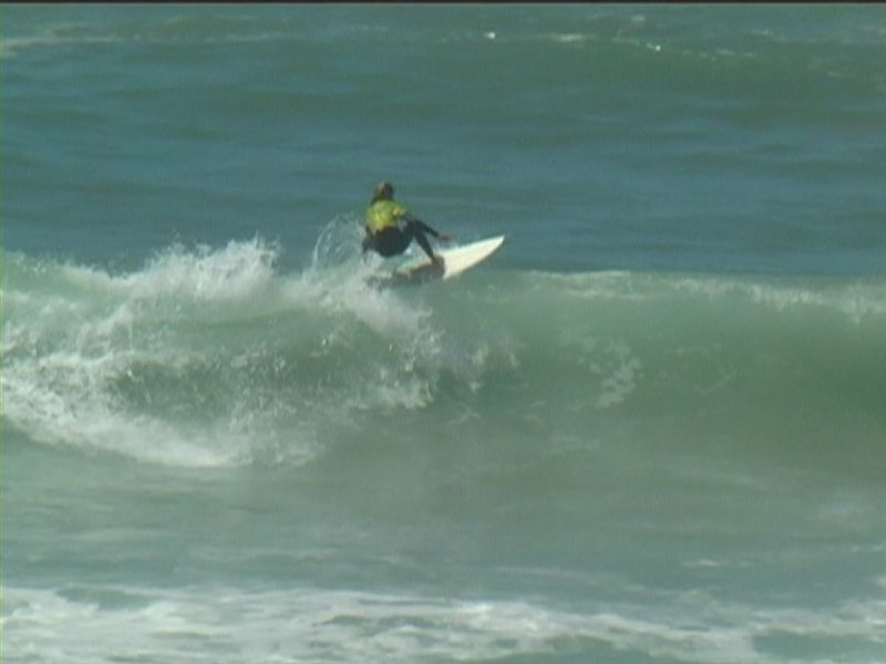 aquatiques (4)