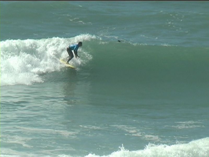 aquatiques (41)