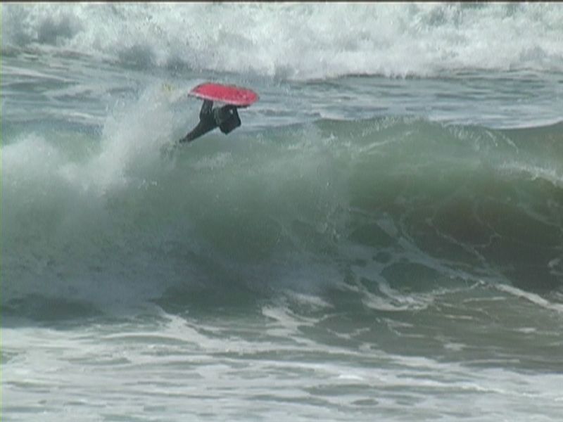 aquatiques (44)