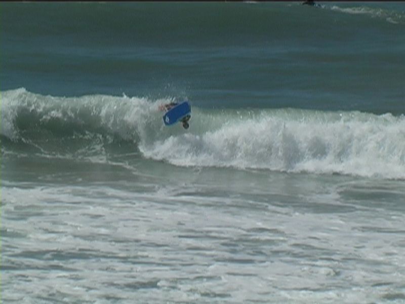 aquatiques (46)