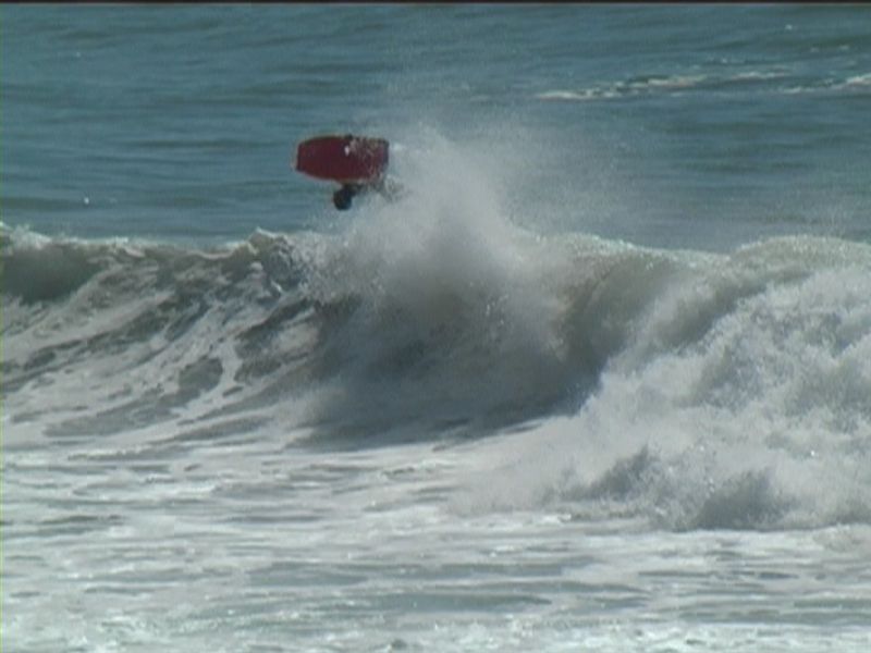 aquatiques (47)
