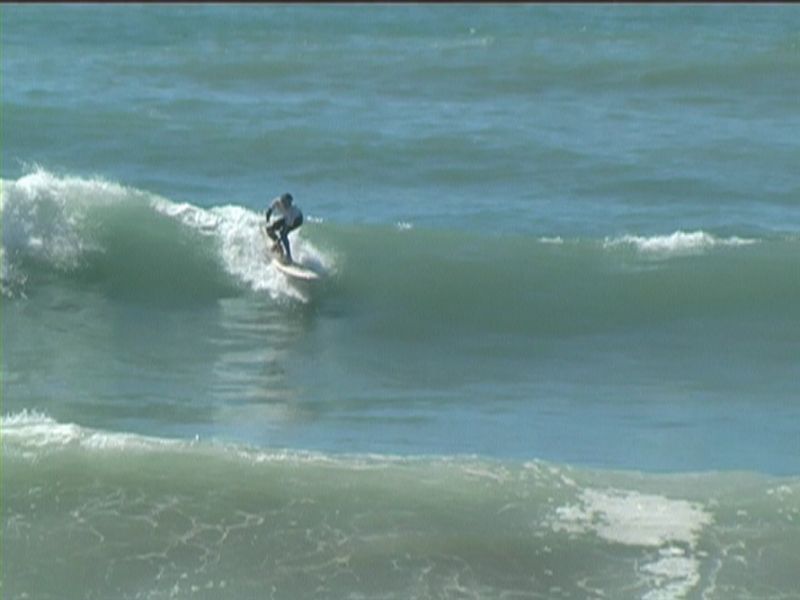 aquatiques (48)