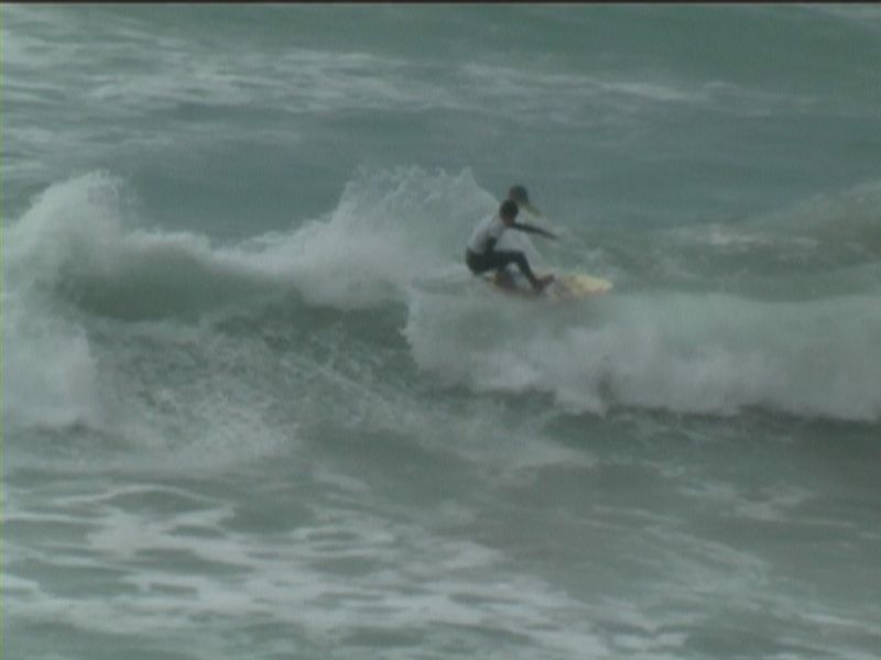 aquatiques (5)