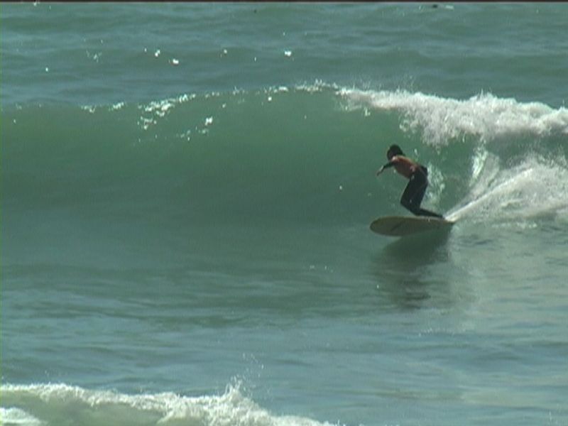 aquatiques (50)
