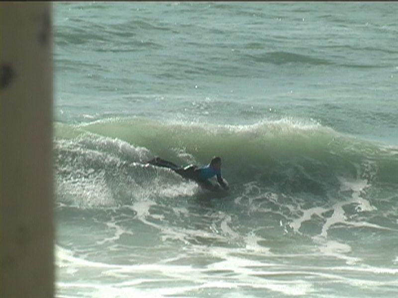 aquatiques (54)