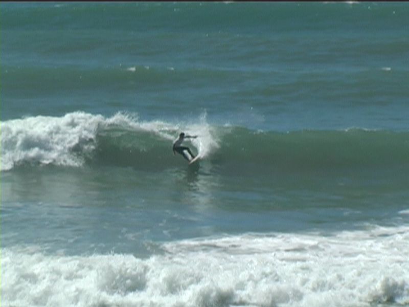 aquatiques (55)