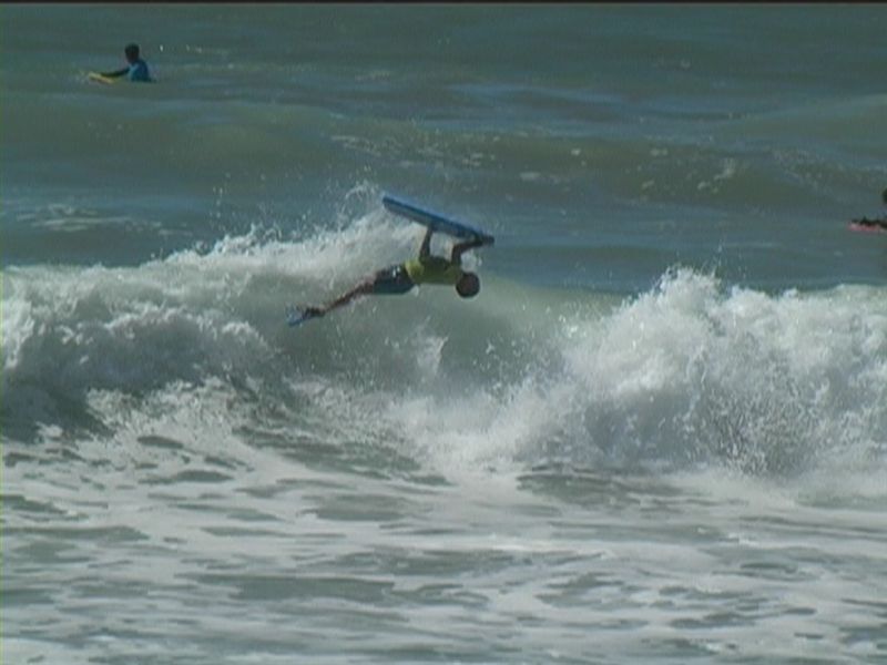 aquatiques (8)