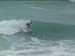 aquatiques (16)