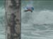 aquatiques (19)