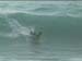 aquatiques (20)