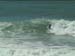 aquatiques (36)