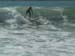 aquatiques (7)