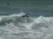 aquatiques (8)