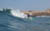 111catarno1